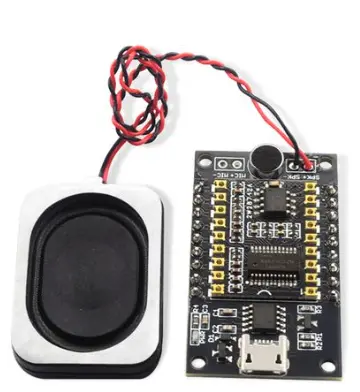 Voice Assistant PCBA